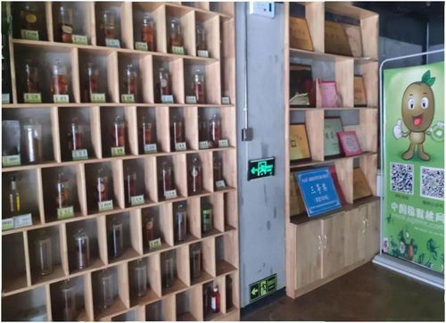 数字经济展示 猕猴桃网平台建设项目