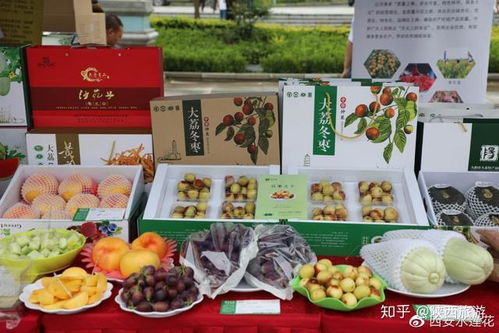美丽大荔 “枣”想约你——陕西水果网络特色季冬枣节在西安启幕